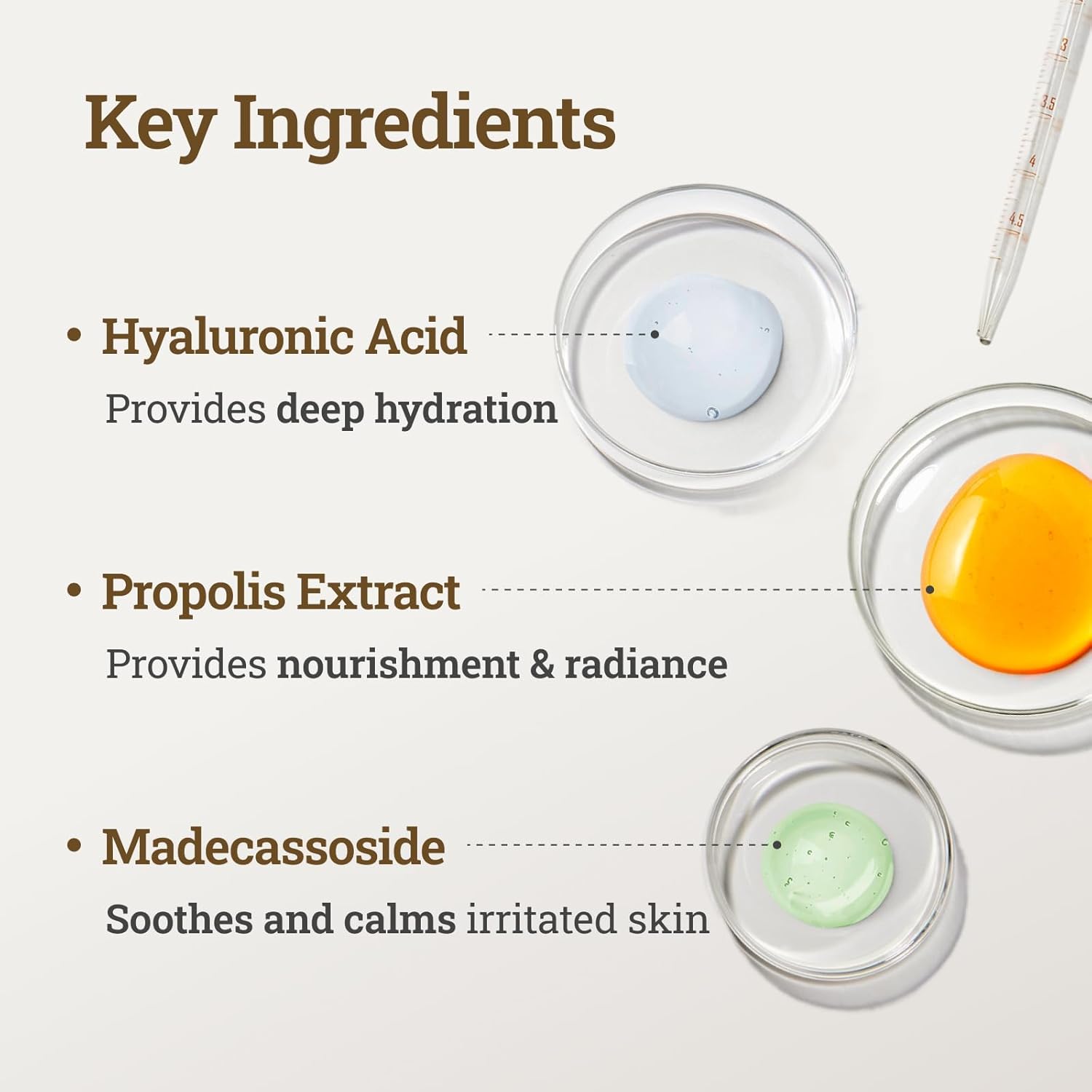 Key ingredients of CNP Laboratory Propolis Energy Active Ampule highlighted are Hyaluronic acid, propolis extract and madecassoside