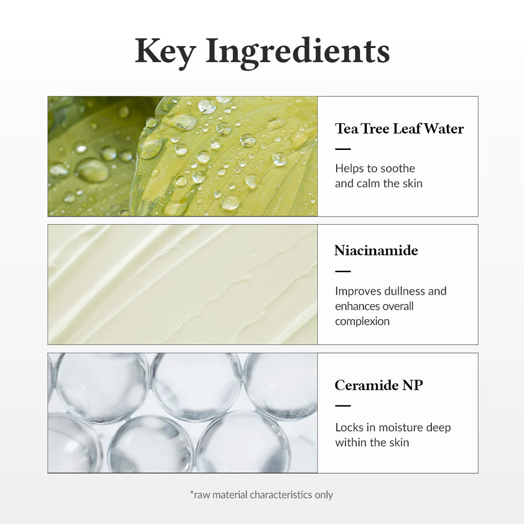 Dr. Althea 345 Relief Cream List of key ingredients with corresponding images of Tea Tree Leaf Water, Niacinamide and Ceramide NP.