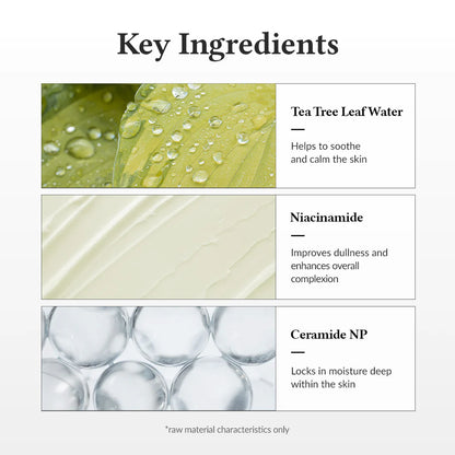 Dr. Althea 345 Relief Cream List of key ingredients with corresponding images of Tea Tree Leaf Water, Niacinamide and Ceramide NP.