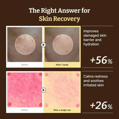 Dr.Reju-All Advanced PDRN Rejuvenating Cream 20ml