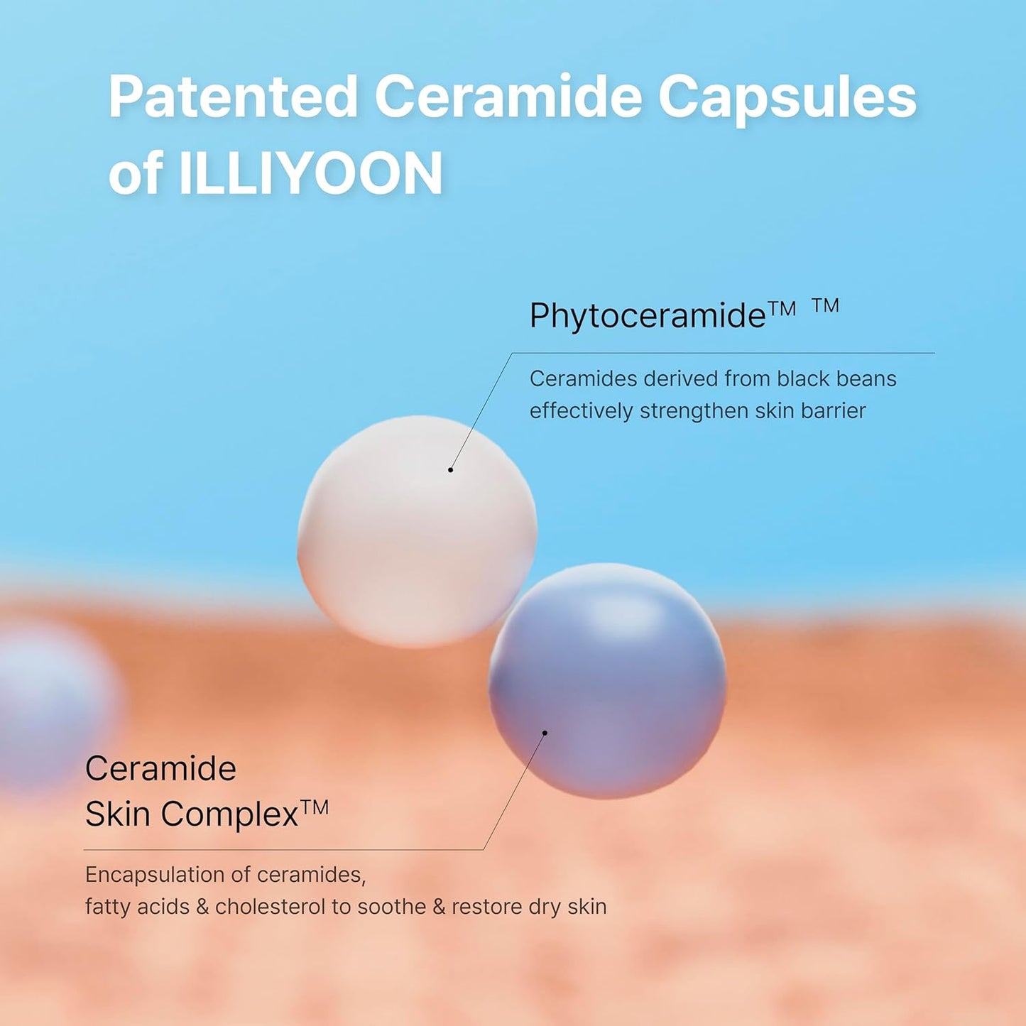Patented Ceramide Capsules of ILLIYOON with a blue background and text explaining their composition of Phytoceramide (derived from black beans) to strengthen skin barrier and Ceramide skin complex (encapsulated ceramides to soothe and restore dry skin)