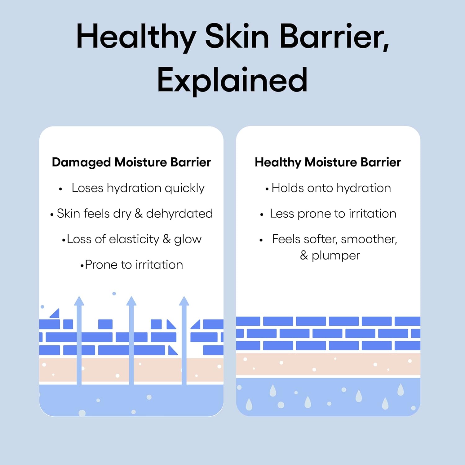 Diagram explaining what a Healthy Skin Barrier is - Damaged vs Healthy Moisture Barrier