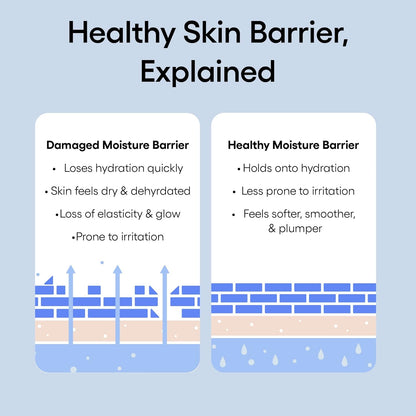 Diagram explaining what a Healthy Skin Barrier is - Damaged vs Healthy Moisture Barrier