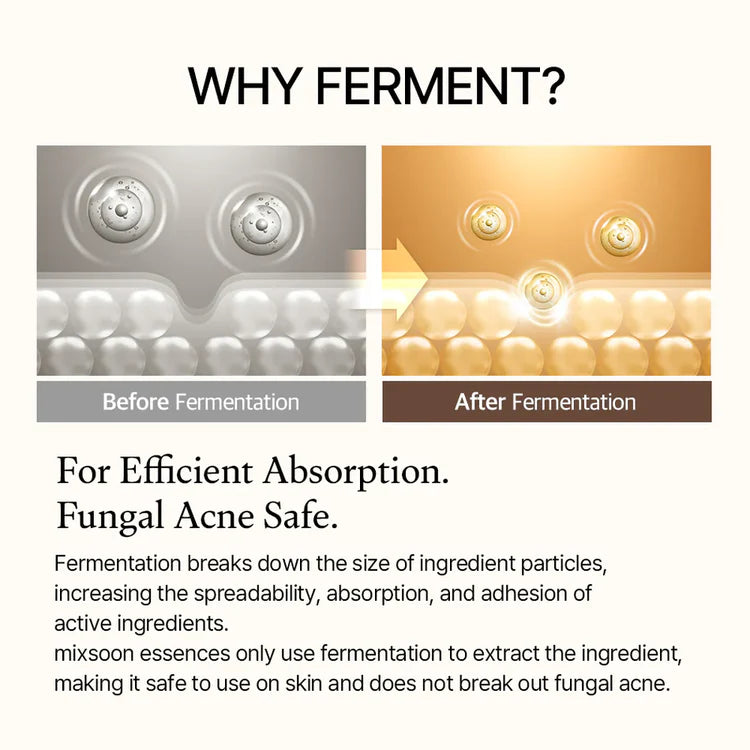 Comparison of ingredient particles before and after fermentation stating that fermentation increases product absorption