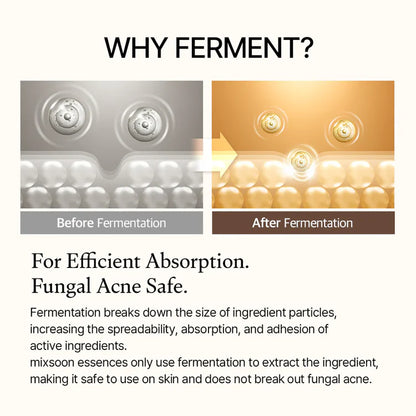 Comparison of ingredient particles before and after fermentation stating that fermentation increases product absorption
